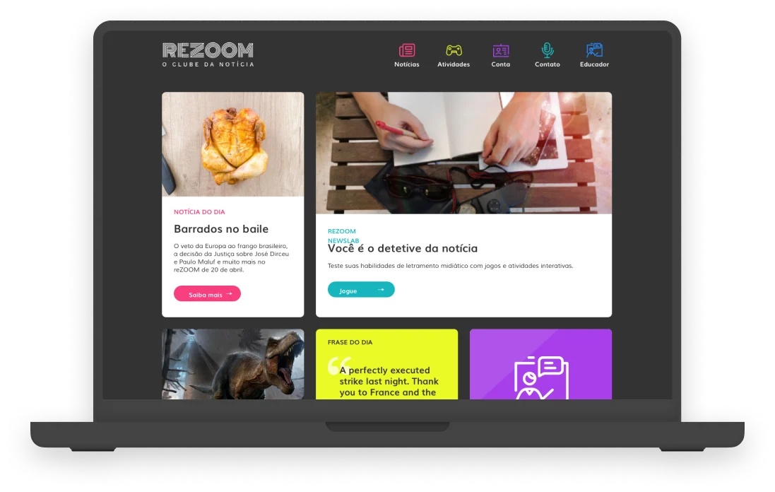 Screens from the reZOOM project